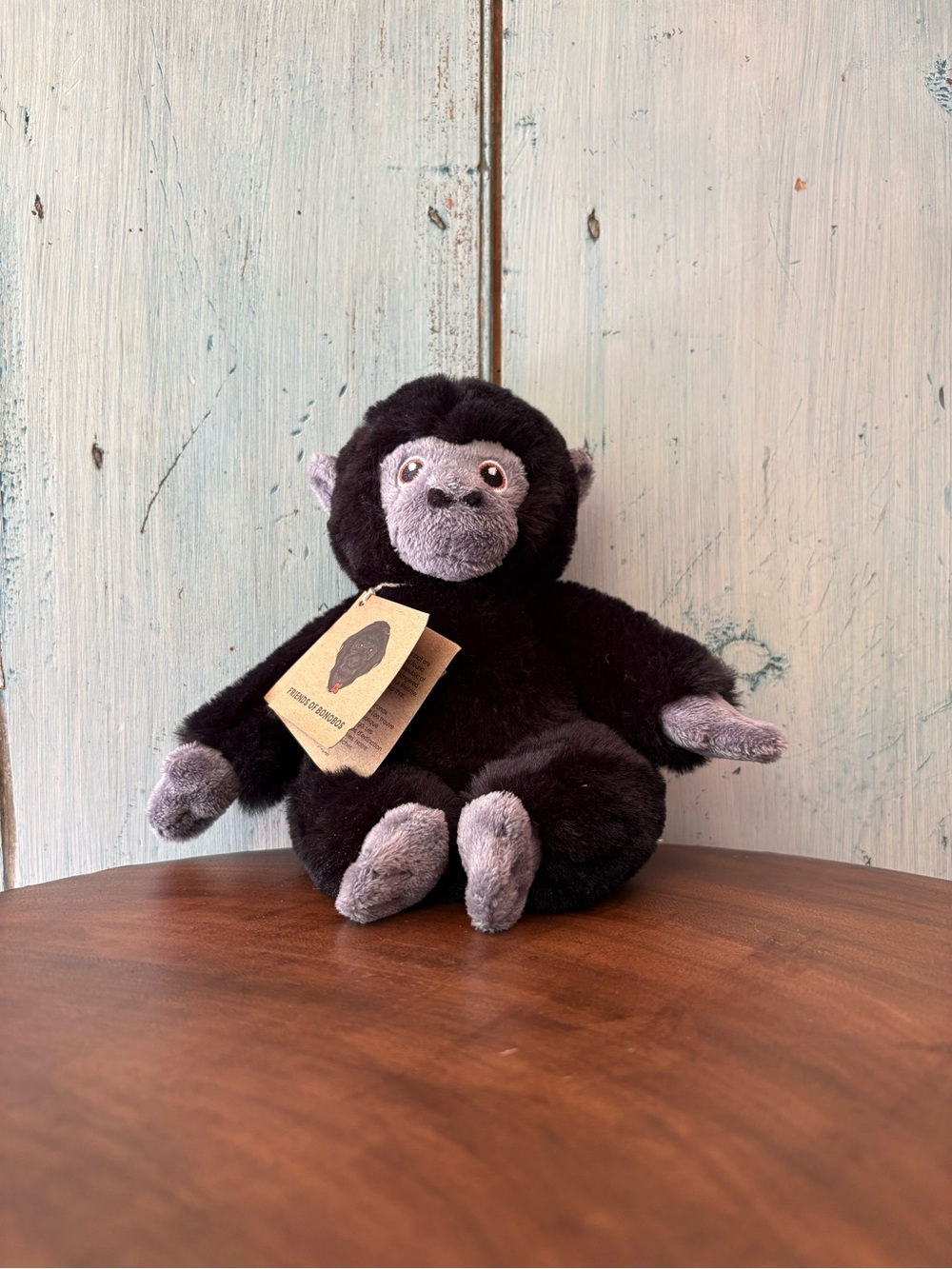 From Lola ya Bonobo Sanctuary, “Lulu & the Others” Book & Plush Bonobo Gift Set - Picture 10 of 14